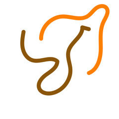 Abstract lines Squiggly vector 