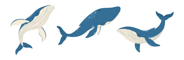 Set of cartoon whales on a white background. Vector illustration of sea creatures in doodle style. Suitable for decoration, sticker design