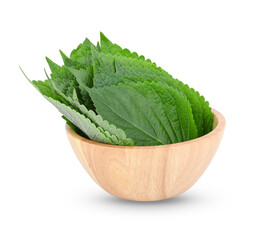 Korean Sesame leaves in bowl on transparent png