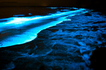 A captivating night scene of bioluminescent algae illuminating the shoreline at Jervis Bay,...