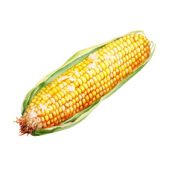 Illustration of  Elote ,a Mexican Food in White Background