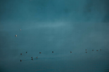 lake in misty morning