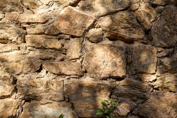 stone wall background with natural pattern and tree shadows