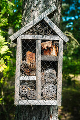 Insect hotel on tree. Insects house in forest. Protection and care of insects. Ecology, environmental protection concept.