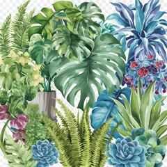 Fotobehang Watercolor houseplant png on transparent background  © Ghulam