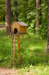 wooden bird feeder and squirrels in park, small wooden house