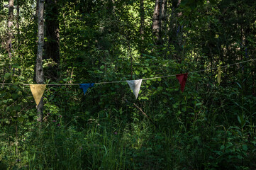 Flags signaling the start of a path.