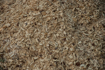close up of processed wood waste and wood shavings