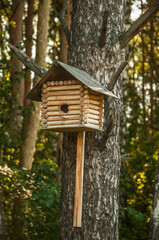 decorative house hanging single object in garden