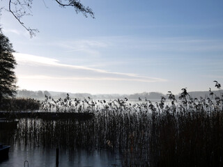 View of Lake Garden near Lohmen (Germany)