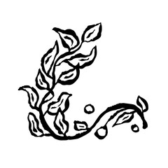 Inky abstract leaves sketch isolated on white. Black line art of minimalist doodle floral. Hand drawn botanical illustration