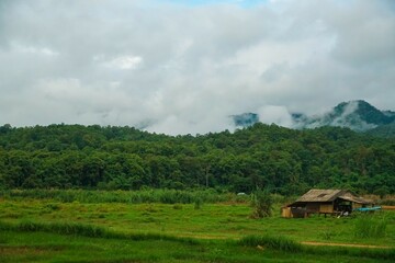 A small house sits in a lush green field with a cloudy sky overhead