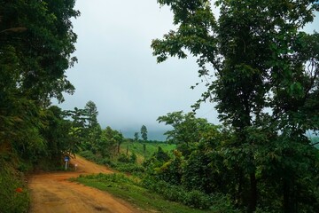 Obraz premium A road with trees in the background and a sign on the side