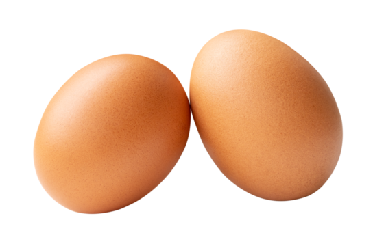 Front view of two fresh brown chicken eggs isolated with clipping path in png file format