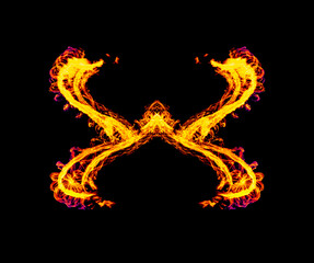 Fototapeta premium beautiful shapes with fire flame