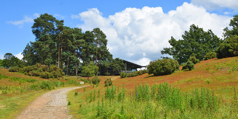 Suffolk Countryside around Sutton Hoo.