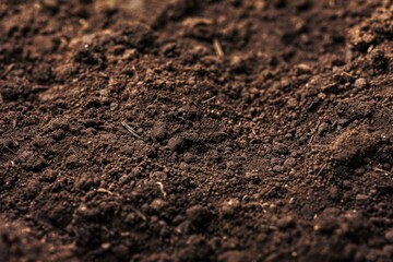 Soil. Texture of Ground Providing Natural Background with Earthy Tones