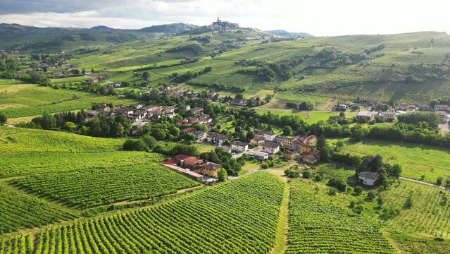 Italy , drone view  of a countryside landscape with green hills of nature, vineyards of the Tuscan and Lombard Apennines with rows of grapes ready for harvesting for the production of Italian wine