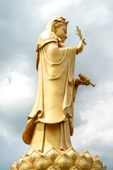 Fototapeta premium The golden large 