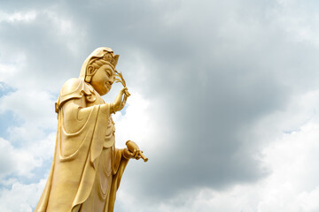 Obraz premium The golden large 