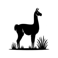 Guanaco Silhouette - Guanaco Vector Design - Minimalist Guanaco Illustration.