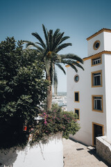 Idyllische mediterrane Architektur in Ibiza-Stadt mit Palmen und Blumen