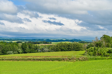 日本北海道上川郡美瑛町の丘の風景