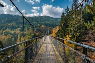 Obraz premium Suspension Bridge in Black Forest, Germany. Adventurous Metal Bridge Surrounded by Pine Trees