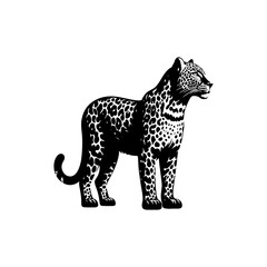 Wildlife Design - Minimalist Leopard Vector Silhouette - Leopard Illustration - Leopard Vector art.