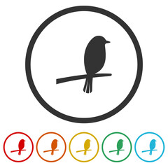 Bird on branch icon. Set icons in color circle buttons