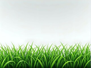 Obraz premium Lush green grass with white background for copy space.