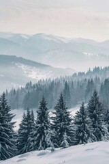 Fototapeta premium An advertising for snowcovered ground with pine trees and mountains behind it