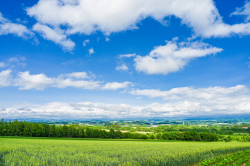 日本北海道上川郡美瑛町の丘の風景