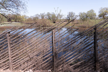 Rustic Waterlogged Landscape