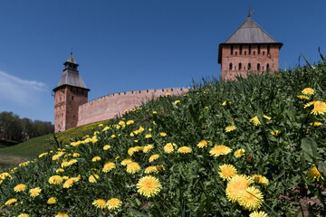 Ancient Fortress Amidst Spring Blooms