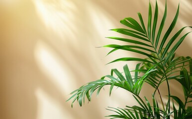 Green Palm Fronds Against a Light Tan Wall With Sunlight Streaming Through