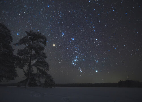 The Orion constellation rises in the winter sky