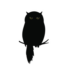 Vector black owl in the night sky is isolated on the white background