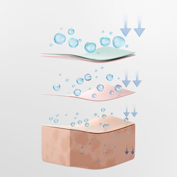 Hyaluronic molecules from skin serum absorption to deep layer by skin cell. 3D rendering.