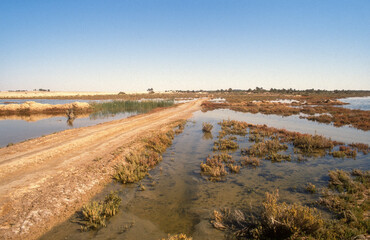 Chott el Jérid, Tunisie
