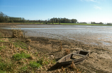 Etang, Dombes, 01, Ain, France