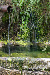 waterfall in the forest