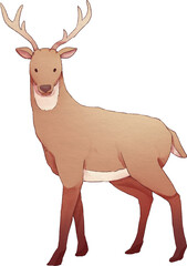 Deer Watercolor Illustration