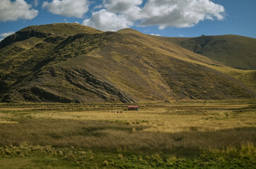 Fototapeta premium house in the middle of peruvian rural aera in the mountains
