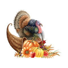 Thanksgiving festive cornucopia with pumpkins, turkey bird, autumn leaves. Harvest cornucopia with pumpkins watercolor painted illustration. Autumn season thanksgiving vintage style decoration