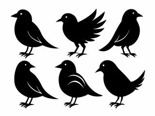 set of silhouettes of birds Vector, isolated black silhouette bird bundle
