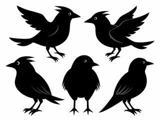 set of silhouettes of birds Vector, isolated black silhouette bird bundle
