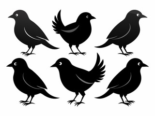 set of silhouettes of birds Vector, isolated black silhouette bird bundle
