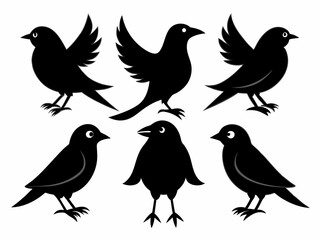 set of silhouettes of birds Vector, isolated black silhouette bird bundle

