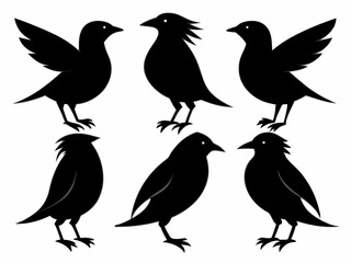 set of silhouettes of birds Vector, isolated black silhouette bird bundle
